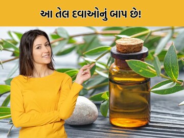 News 18