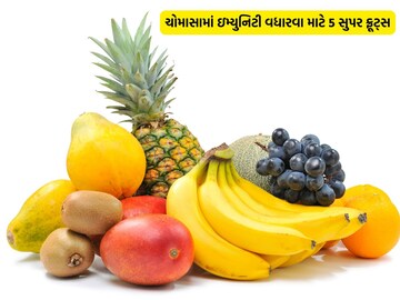 These 5 fruits full of nutrition in the monsoon will keep you healthy, no near illness These 5 fruits full of nutrition in the monsoon will keep you healthy, no near illness