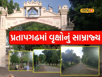 પ્રતાપગઢ બન્યું 'ઓક્સિજનનો ખજાનો'