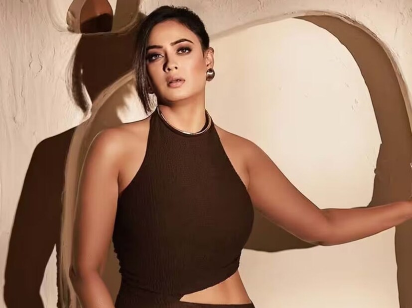 राजा चौधरी से उनकी एक बेटी पलक है, जो आज 24 साल की है। हालाँकि, बाद में घरेलू हिंसा के कारण दोनों का तलाक हो गया। तलाक के बाद, श्वेता तिवारी अपनी बेटी पलक की अकेले ही परवरिश कर रही थीं। एक पुराने इंटरव्यू में, श्वेता तिवारी ने बताया था कि काम के साथ-साथ बेटी की परवरिश करना वाकई मुश्किल था।