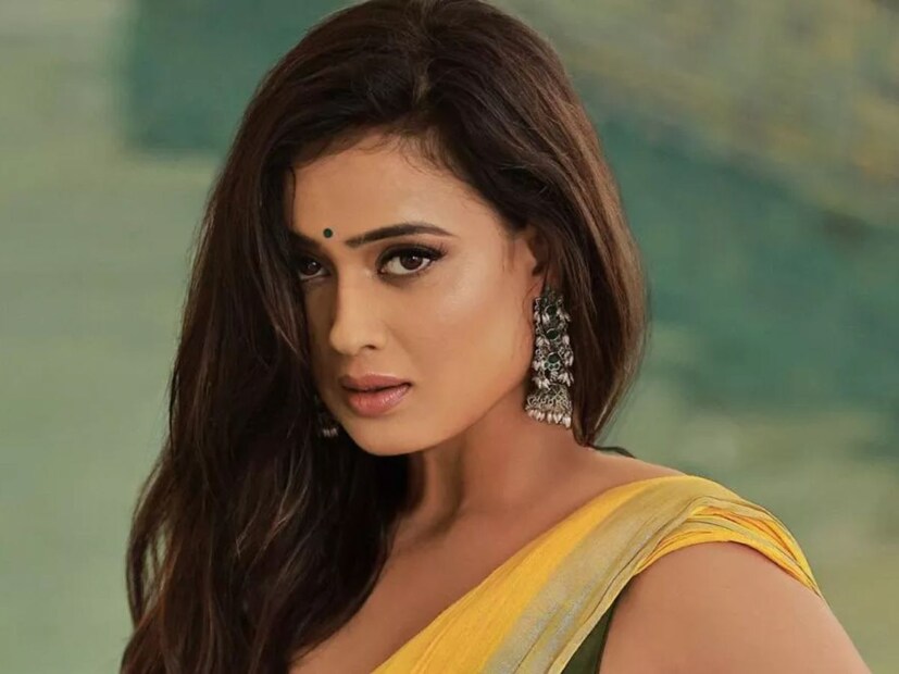 कई साल अकेले रहने के बाद, श्वेता तिवारी की ज़िंदगी में प्यार लौट आया। उन्होंने 2013 में अभिनेता अभिनव कोहली से शादी की और उनके बेटे रेयांश को जन्म दिया।