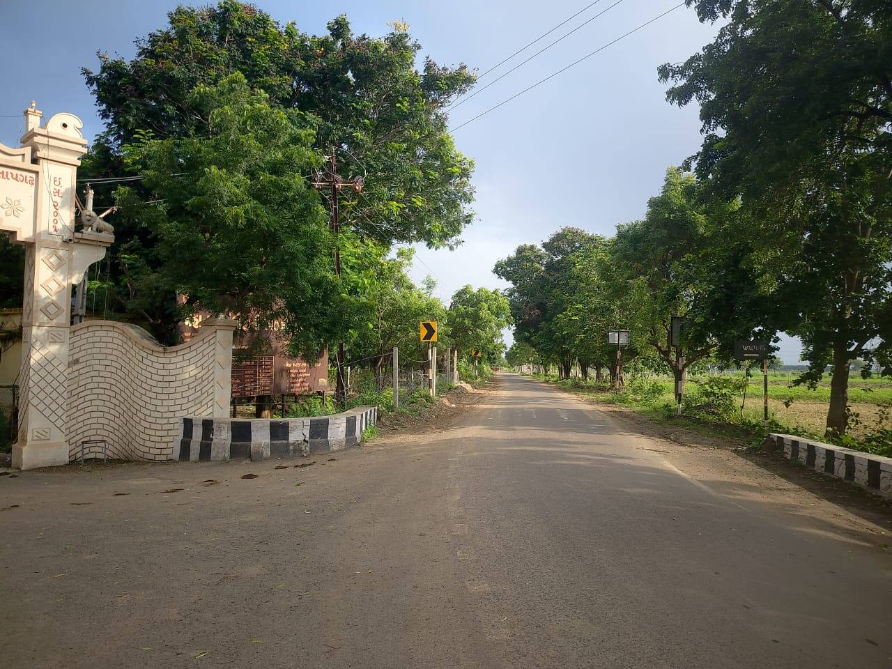 A green village was created by planting more than 5000 trees in Pratapgarh