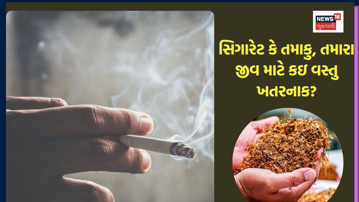 tobacco in gujarati Quit Smoking On World No Day This World No Tobacco Day,