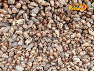 મહેસાણા