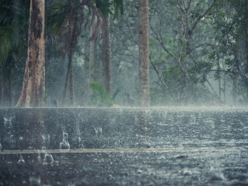 Gujarat weather Report today rain forecast