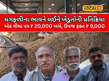 મગફળીના