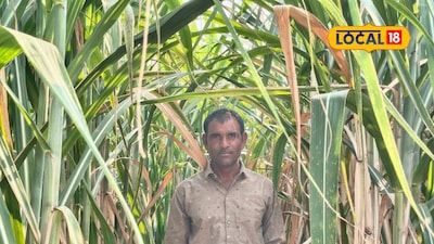 શેરડીની ખેતીમાં ખેડૂતને મળી સફળતા 