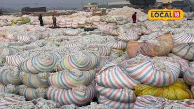 રાજકોટ યાર્ડમાં સૌથી વધુ કપાસની આવક