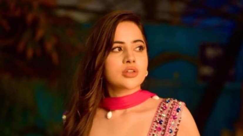  વીડિયોમાં અંસારીએ કહ્યું કે, હૈલો દોસ્તો, કેમ છો તમે બધા? હું ફૈઝાન અંસારી છું. એક છોકરી છે, જે ખાલી ભારતમાં જ નહીં પણ આખી દુનિયામાં મુસલમાનોનું નામ ખરાબ કરી રહી છે. તે ખુદ કહે છે કે તેને કુરાન પર વિશ્વાસ નથી. તેને ઈસ્લામ પર વિશ્વાસ નથી. તેને મુસ્લિમ ધર્મ પર વિશ્વાસ નથી. તેનું નામ અત્યાર સુધી મુસ્લિમ હતું, ઉર્ફી જાવેદ. તે ખૂબ જ ખરાબ છોકરી છે, જેણે આખી દુનિયામાં મુસલમાનોનું નામ ખરાબ કર્યું છે અને દરેક મુસલમાન તેને ગાળો આપે છે.