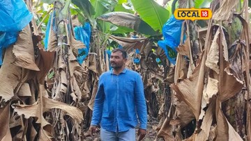 ખેડૂતની