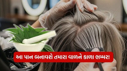 આ પાન બનાવશે તમારા વાળને કાળા ભમ્મર 