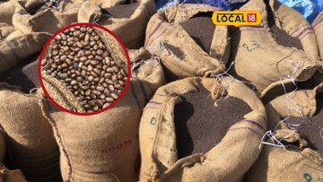 એરંડાના