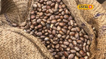 મહેસાણા