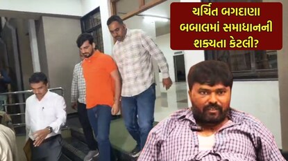 નવનીત બાલધિયાની ન્યૂઝ18 ગુજરાતી સાથે ખાસ વાતચીત