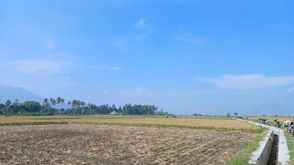 જમીન વિકાસ તથા બાંધકામ પ્રક્રિયા વધુ સરળ બનશે.