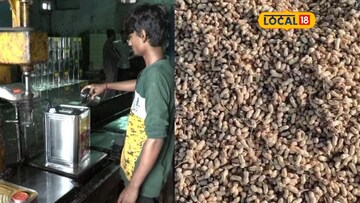 મગફળીના