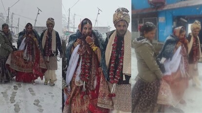 (Image: Instagram@mahendrasemwal1)