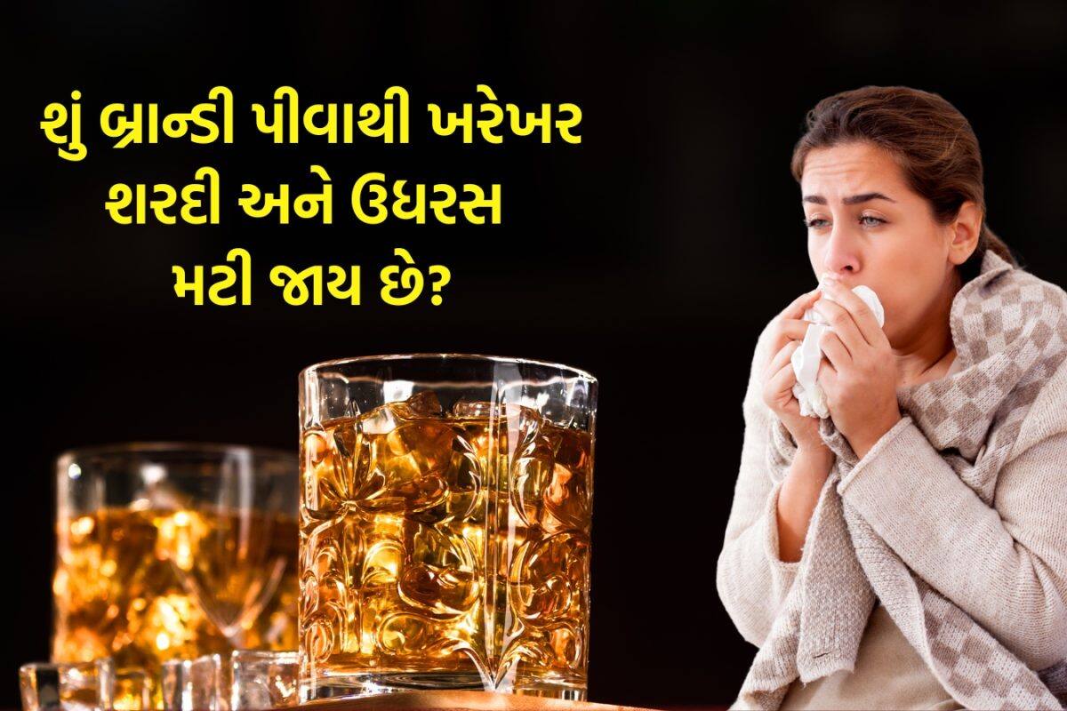 Brandy For Cough: શું બ્રાન્ડી પીવાથી ખરેખર શરદી અને ખાંસી મટી જાય છે? જાણો હેલ્થ એક્સપર્ટ શું કહે છે?