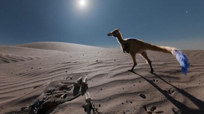 અલનાશેટ્રી સેરોપોલિસિએન્સિસનો ઇલુસ્ટ્રેશન (ક્રેડિટઃ ગ્રેબ્રિયલ ડિયાઝ યાનટેન) અલનાશેટ્રી સેરોપોલિસિએન્સિસનો ઇલુસ્ટ્રેશન (ક્રેડિટઃ ગ્રેબ્રિયલ ડિયાઝ યાનટેન)