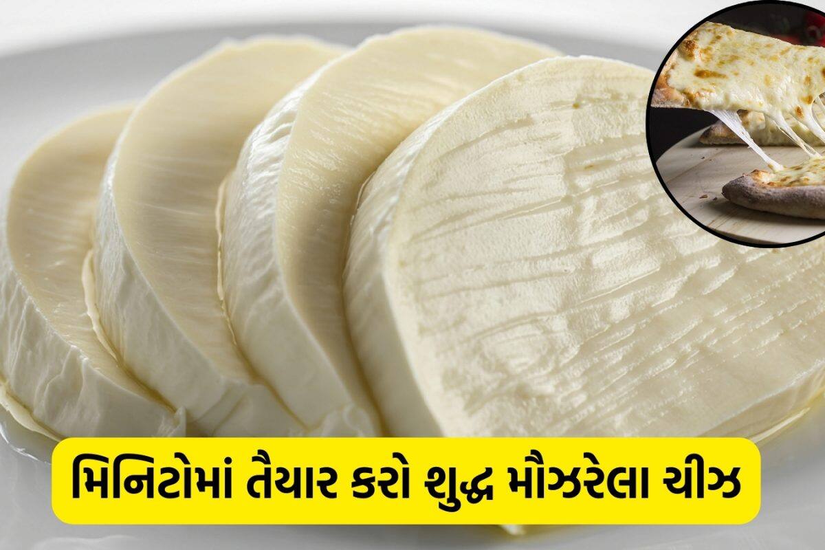 Cheese Recipe: બજારમાંથી મોંઘું ચીઝ ખરીદવાનું છોડો! ઘરે માત્ર 2 વસ્તુઓથી બનાવો પિઝા જેવું સ્ટ્રેચી મોઝેરેલા ચીઝ