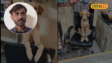 નિલેશભાઈ