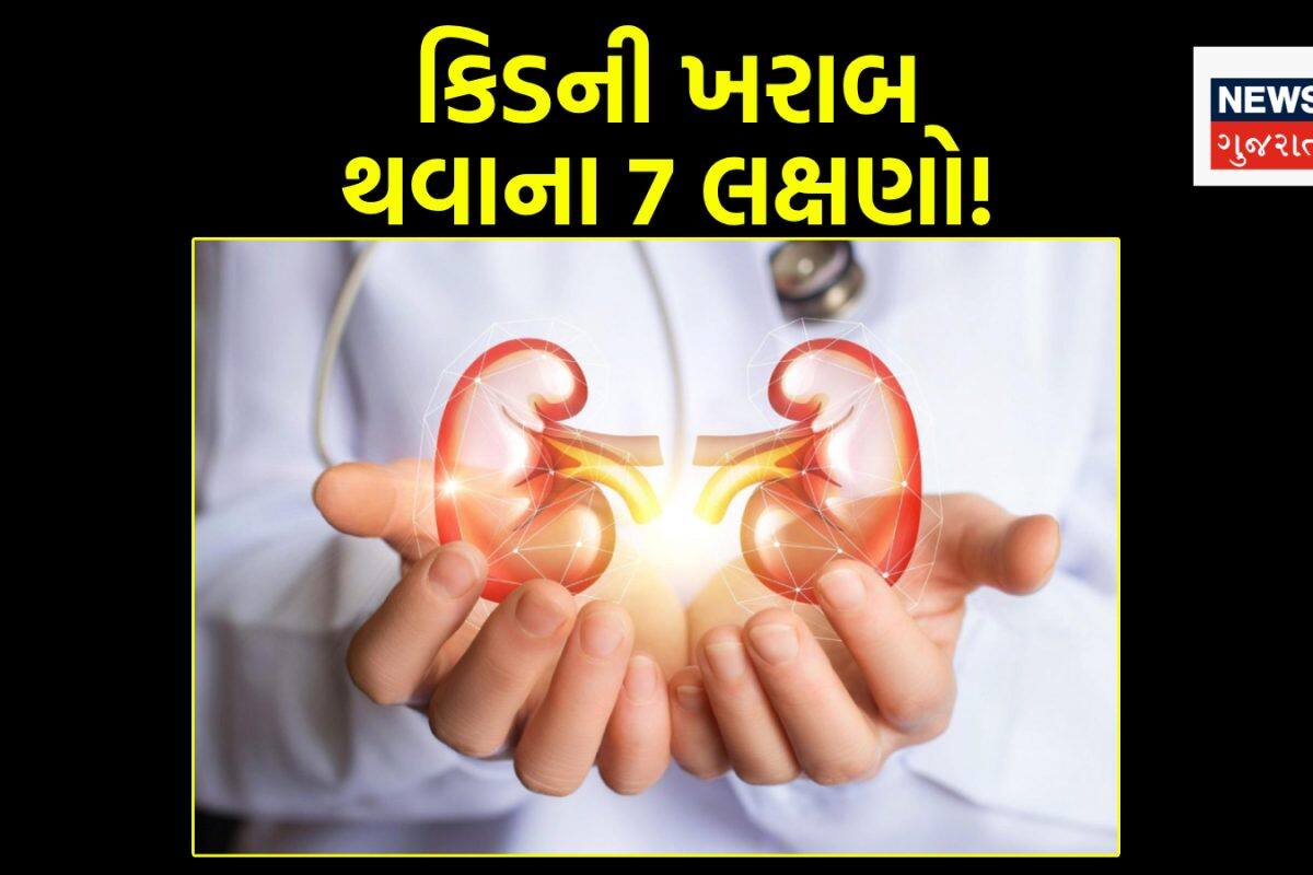 Kidney Disease: કિડની ડેમેજ થતાં જ દેખાય છે આ 7 લક્ષણો! જો શરીરમાં આ ફેરફારો જોવા મળે તો તાત્કાલિક ડોક્ટર પાસે પહોંચી જજો