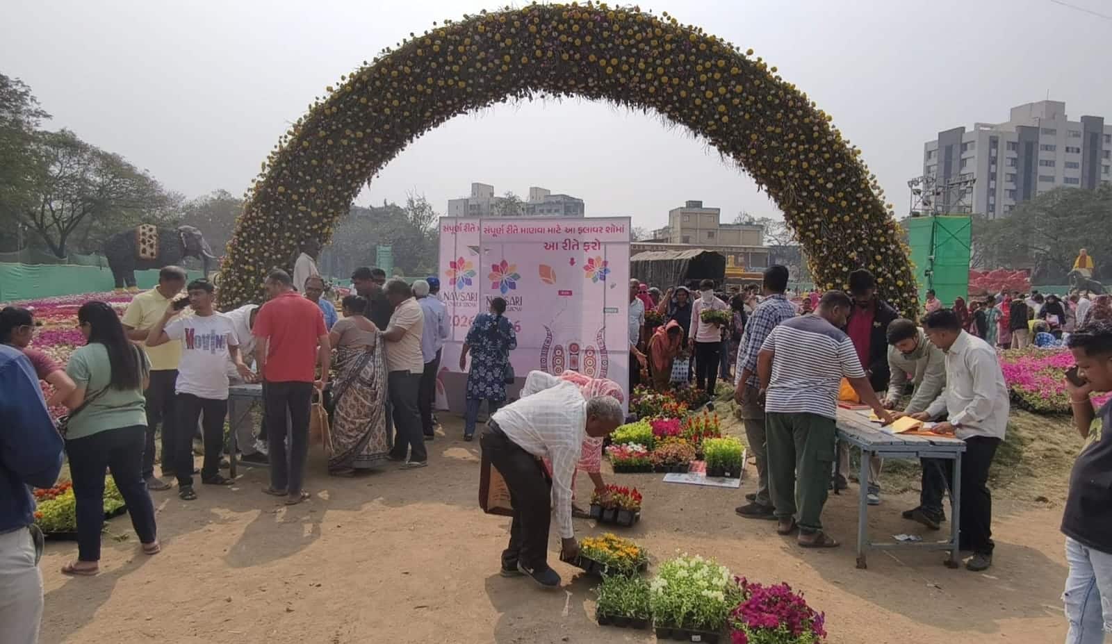 Navsari Flower Show Plants will be available at cheap prices at Lunsikui Ground 