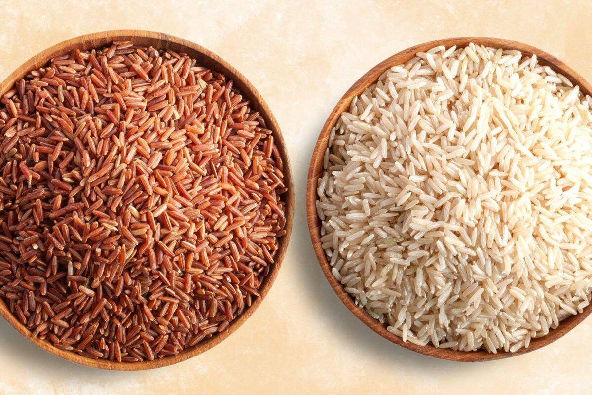 Benefits of Rice: વ્હાઇટ રાઈસ કે બ્રાઉન રાઇસ, વજન ઘટાડવા માટે કયા ચોખા છે બેસ્ટ?