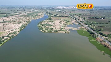 ધોળકિયા