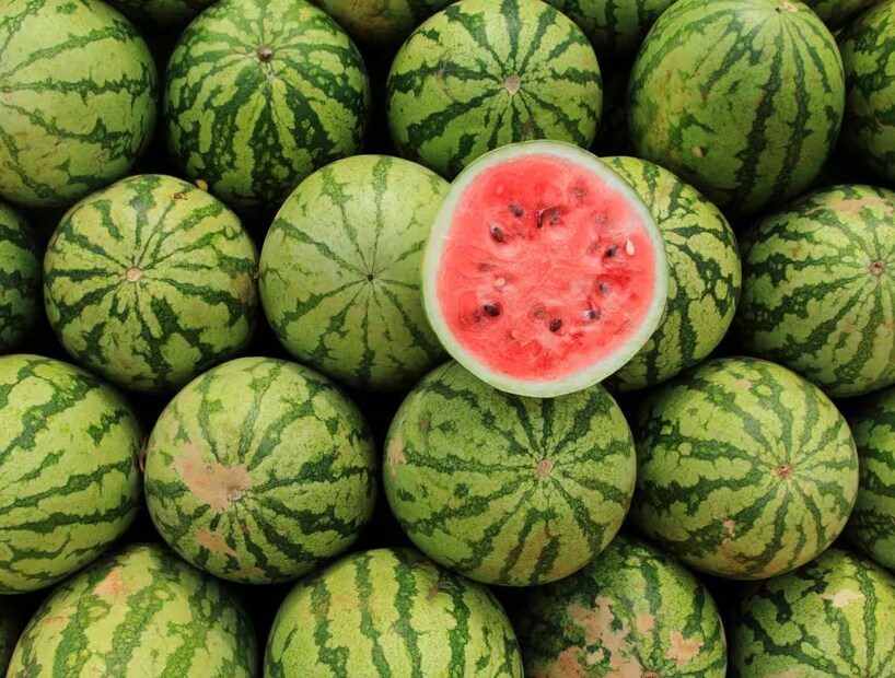 farmer success story left government job preparation now earns 2 crore rupees per year