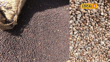 મહેસાણા