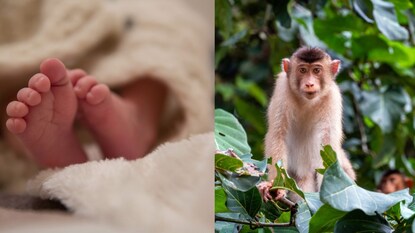 ચોંકાવનારી ઘટના(સાંકેતિક તસવીર)