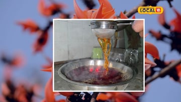 કેસુડાના