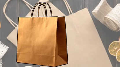 શોપિંગ બેગ મોટાભાગે બ્રાઉન રંગની કેમ હોય છે? 