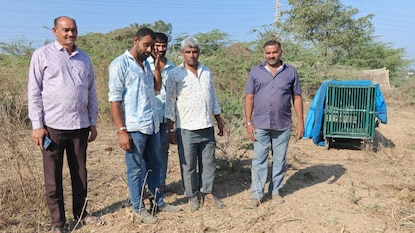 રાજકોટથી માત્ર 8-10 કિલોમીટર દૂર મનહરપુર ગામમાં દીપડાનો આતંક