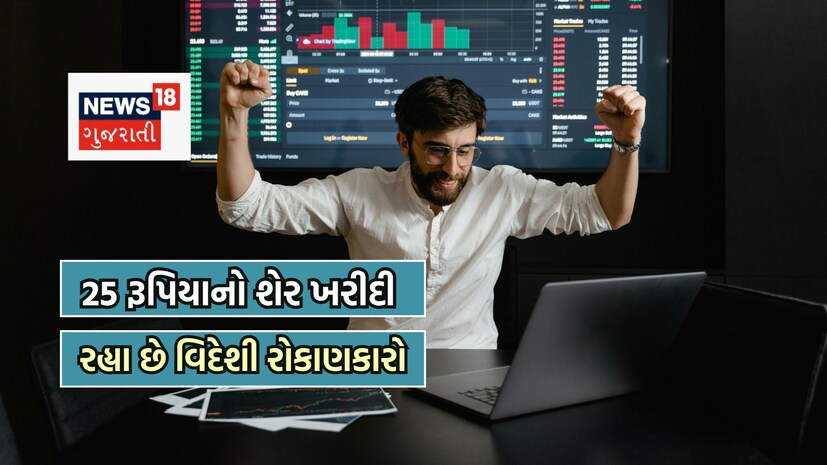 Sigachi Industries Ltd share price