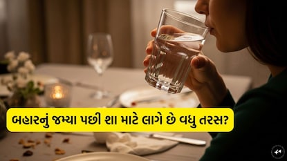 બહારનું જમ્યા પછી શા માટે લાગે છે વધુ તરસ?