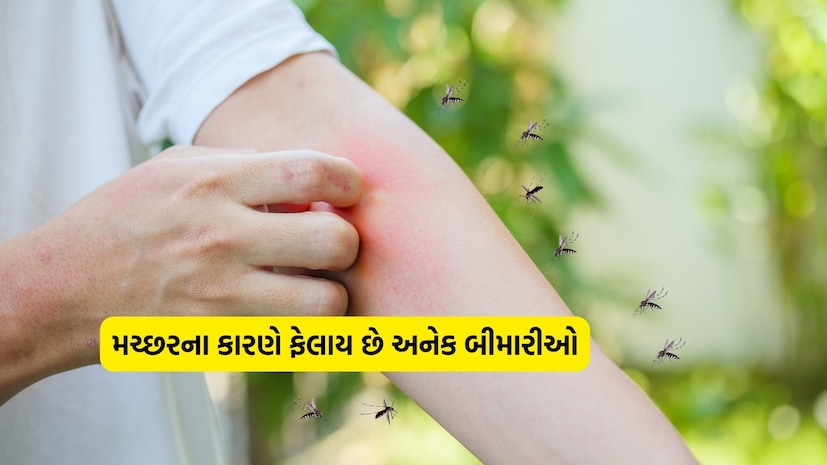 Why Do Mosquito Bites Itch and Cause Red Bumps The Fascinating Science Behind Your Bodys Reaction