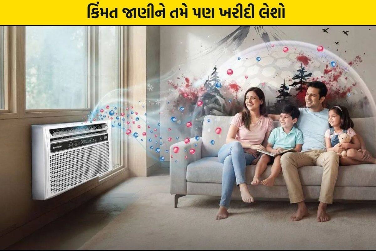 ઇન્વર્ટર ટેક્નોલોજીનું Window AC થયું લોન્ચ, ઓછી કિંમતમાં મળશે દમદાર ફીચર્સ; જાણો વધુમાં