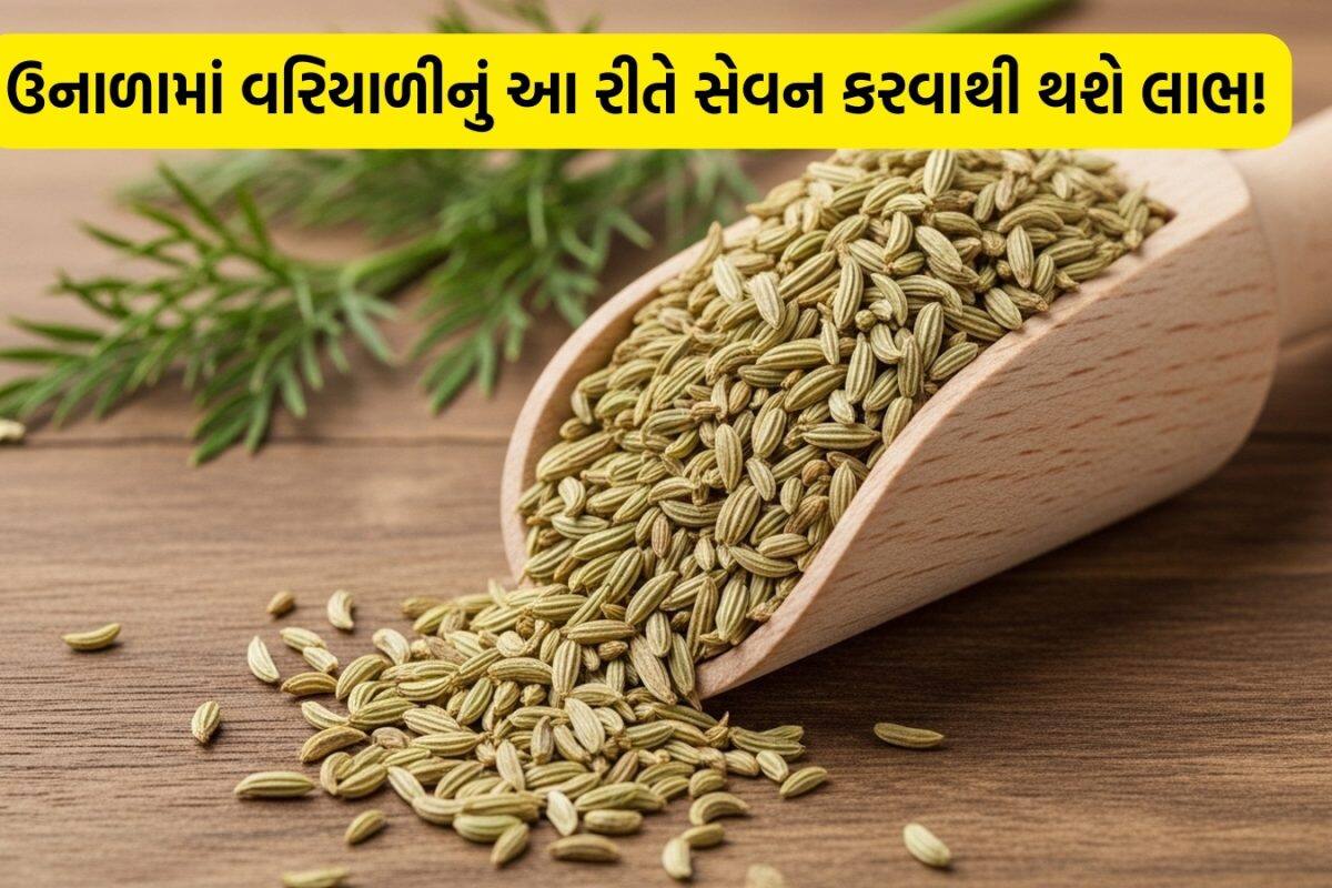 Summer Health Tips: ઉનાળાની કાળઝાળ ગરમીમાં શરીરને ઠંડક આપશે વરિયાળીનું પાણી, જાણો તેના 5 અદભૂત ફાયદા