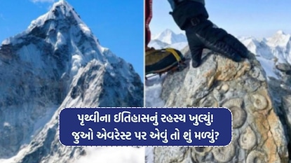 માઉન્ટ એવરેસ્ટ (Image - IG/Traphouse) માઉન્ટ એવરેસ્ટ (Image - IG/Traphouse)