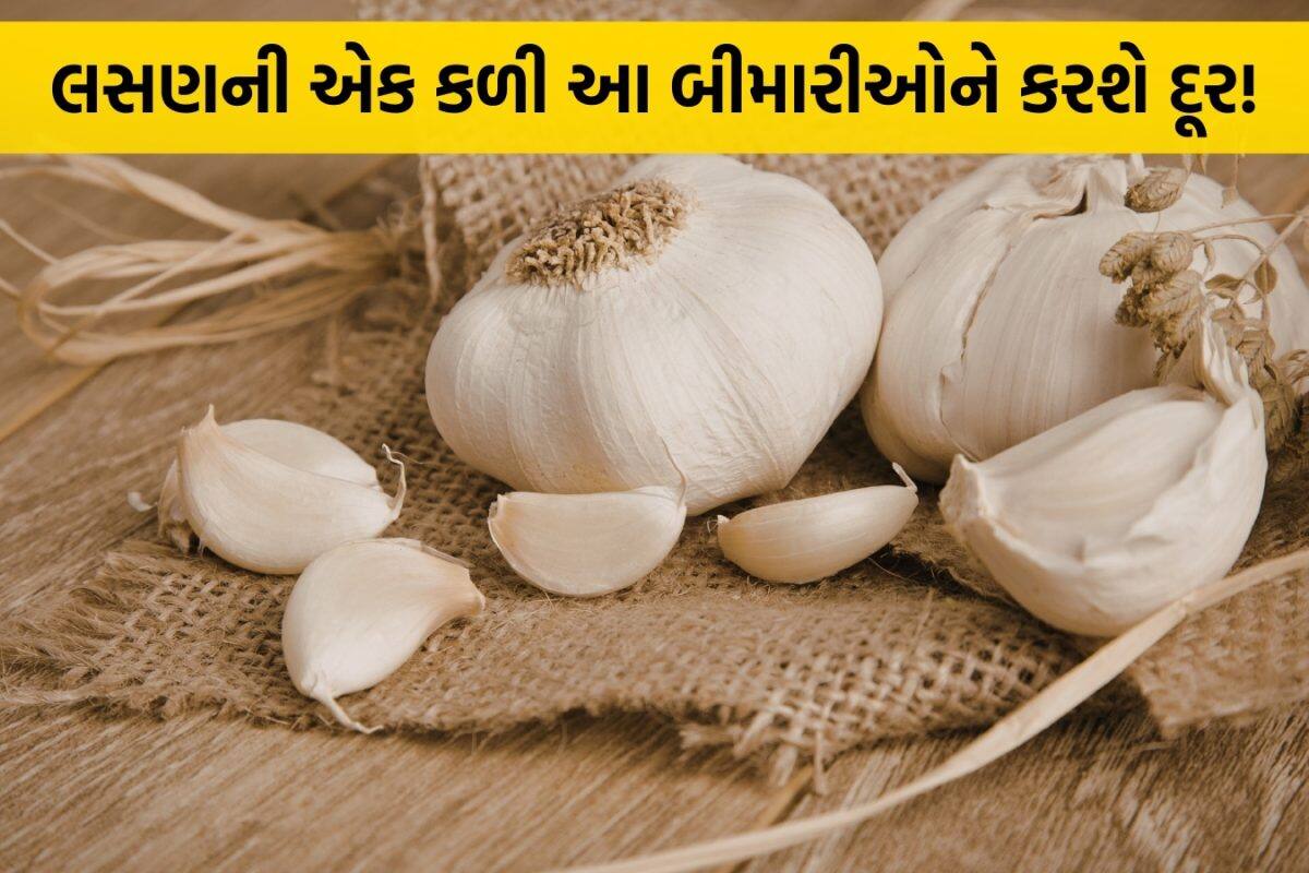 Garlic Benefits: સવારે ખાલી પેટે કાચું લસણ ખાવાનું શરૂ કરો, અનેક ગંભીર બીમારીઓ રહેશે દૂર; જાણો તેના અદભૂત ફાયદા