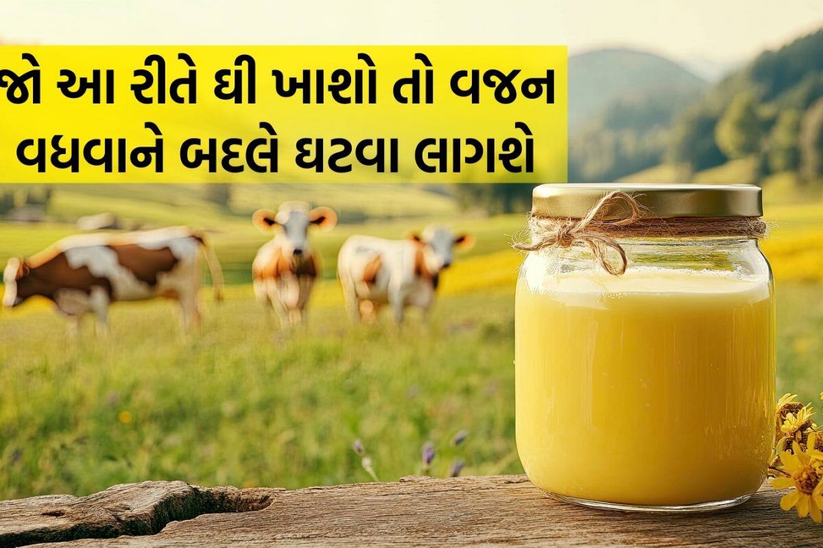 Ghee Health Benefits: દરરોજ ઘી ખાવાથી વજન વધશે કે ઘટશે? મનમાં મૂંઝવણ હોય તો જાણી લો ડૉક્ટરની આ વાત