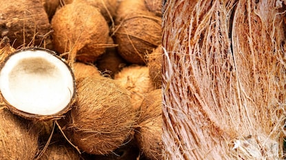 વાસણ ધોવાનો કૂચો કેવી રીતે બનાવશો? વાસણ ધોવાનો કૂચો કેવી રીતે બનાવશો?