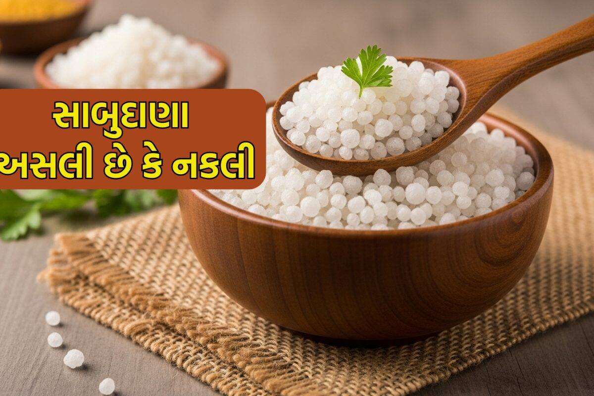 Chaitra navratri-2026: સાબુદાણા અસલી છે કે નકલી, આવી રીતે ઓળખો? ચૈત્ર નવરાત્રીના ઉપવાસમાં ખાતા પહેલા આ રીતે ચેક કરો