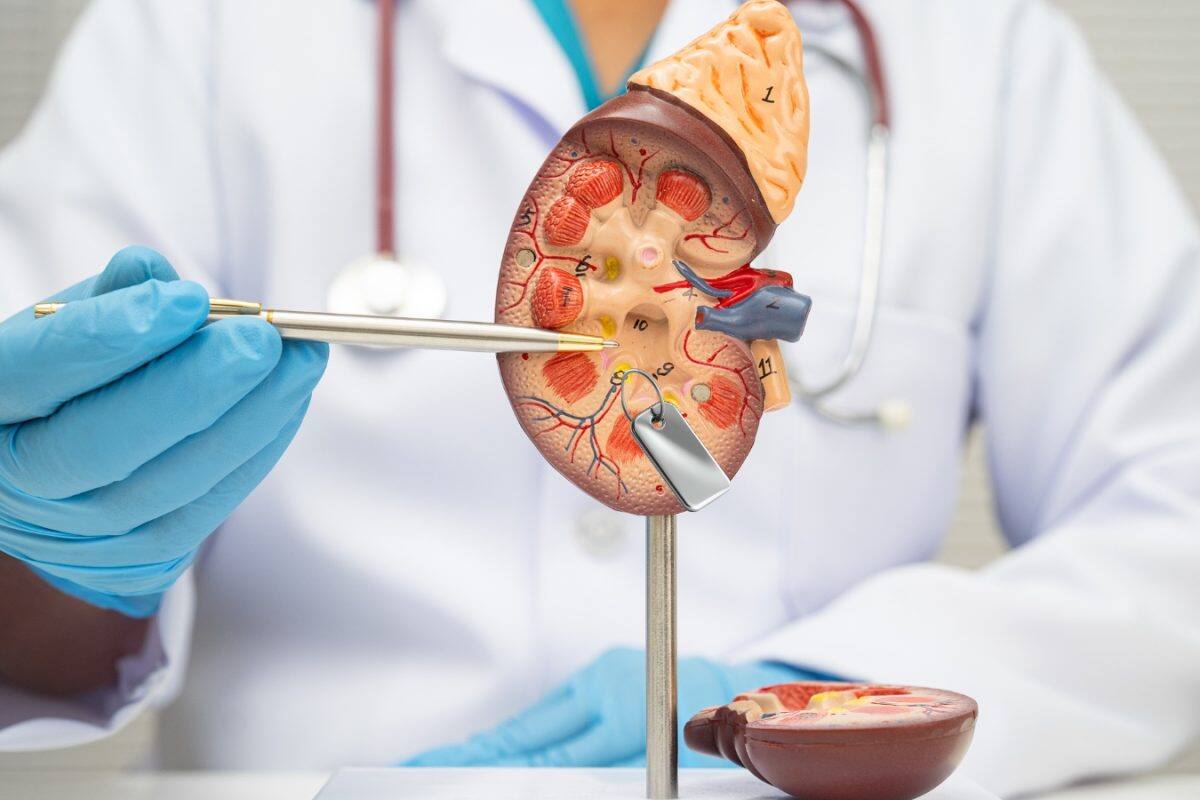 Kidney Cancer: જો તમારા શરીરમાં આ ફેરફારો દેખાય તો ચેતી જજો, નહીંતર હોઈ શકે જીવલેણ કેન્સર!