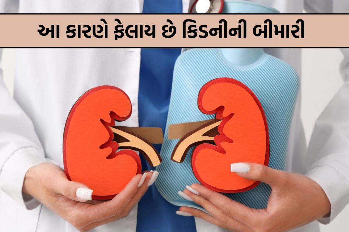 Kidney Health Tips: આ બે ગંભીર બીમારીઓ તમારી કિડની કરી શકે છે ફેલ, જાણો બચવા માટે ડૉક્ટરોએ શું આપી સલાહ