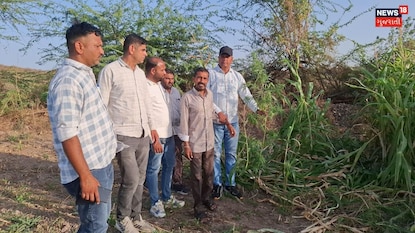 ખેતરમાં ગાંજાની ખેતી કરનાર ખેડૂતની ધરપકડ ખેતરમાં ગાંજાની ખેતી કરનાર ખેડૂતની ધરપકડ