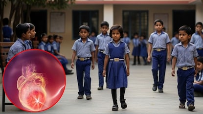 સરકારે વિધાનસભામાં રજૂ કર્યા આંકડા