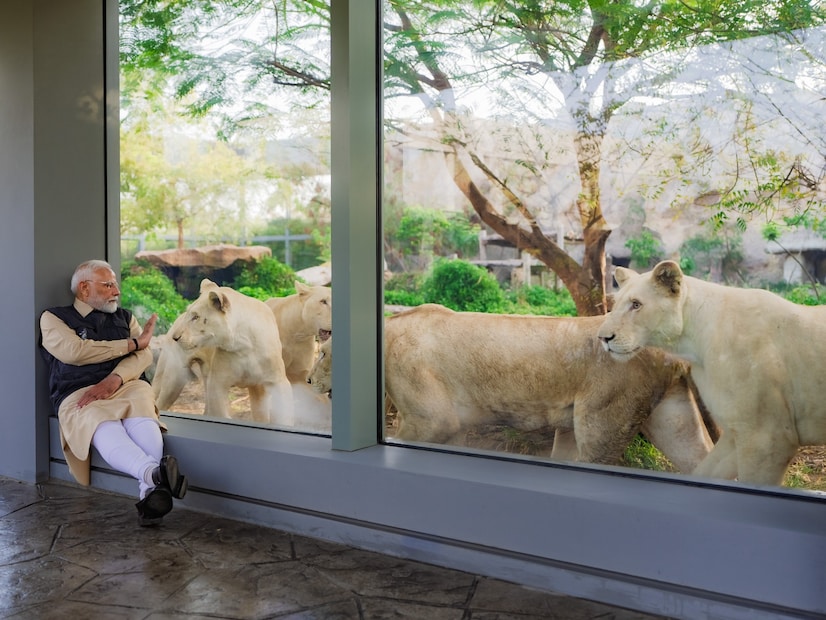  નેશનલ રેફરલ સેન્ટર ફોર વાઇલ્ડલાઇફ (વેસ્ટ ઝોન) તરીકે નિયુક્ત, વનતારાએ વન્યજીવ આરોગ્યને રોગની વ્યાપક દેખરેખ અને સંકલિત પ્રતિભાવ પ્રણાલિઓ સાથે એકીકૃત કરીને ભારતની વન્ય આરોગ્ય ઇકોસિસ્ટમને મજબૂત બનાવી છે. તેની વૈજ્ઞાનિક ઢબે સારવારની પ્રણાલિની મધ્યમાં વૈજ્ઞાનિક પ્રયોગશાળા અને 11 સેટેલાઈટ લેબોરેટરીઝનો સમાવેશ થાય છે, જેને 70થી વધુ નિષ્ણાતો દ્વારા સપોર્ટ કરવામાં આવે છે અને દરરોજે 2,000થી વધુ ડાયગ્નોસ્ટિક નમૂનાઓ પર પ્રક્રિયા કરવામાં આવે છે, જેમાં બાયો-બેન્કિંગ, આગામી પેઢીના સિક્વન્સિંગ, મોલેક્યુલર ડાયગ્નોસ્ટિક્સ, પેથોલોજી, પેરાસિટોલોજી અને ટોક્સિકોલોજીનો સમાવેશ થાય છે.